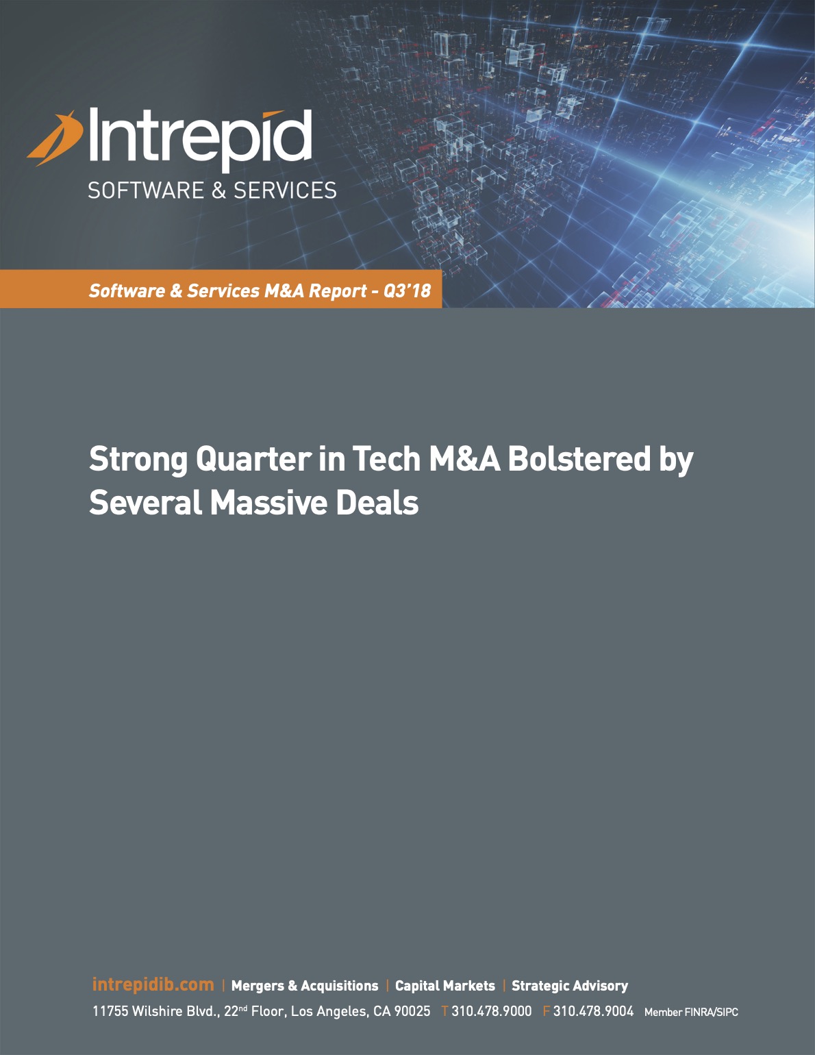 Newletter_SoftwareServices_MAReport_Q318 PDF cover