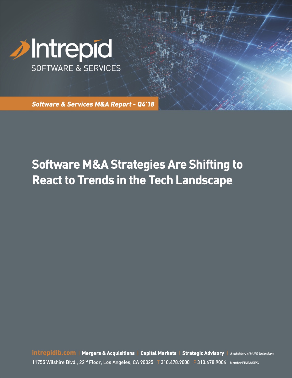 Newletter_SoftwareServices_MAReport_Q418 PDF cover
