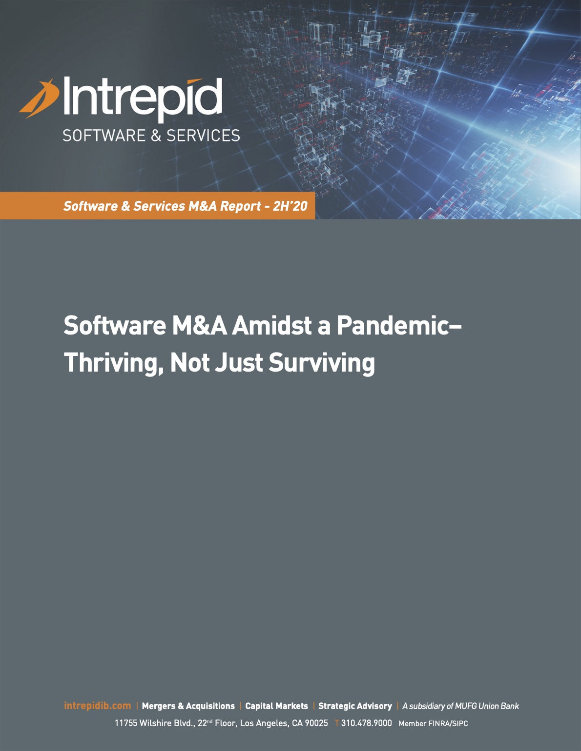 Newletter SoftwareServices M&AReport H220 PDF cover