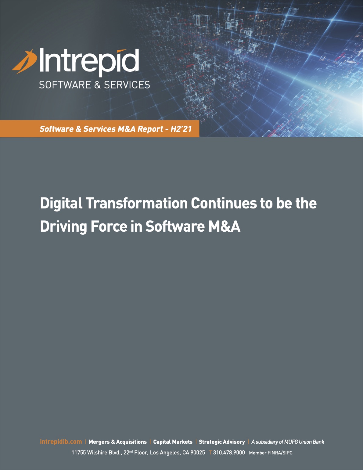  Newletter SoftwareServices M&AReport H221 PDF cover