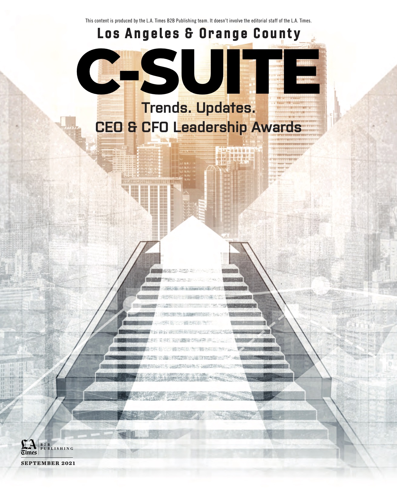 C Suite Magazine Feature CEO CFO Leadership Awards PDF cover