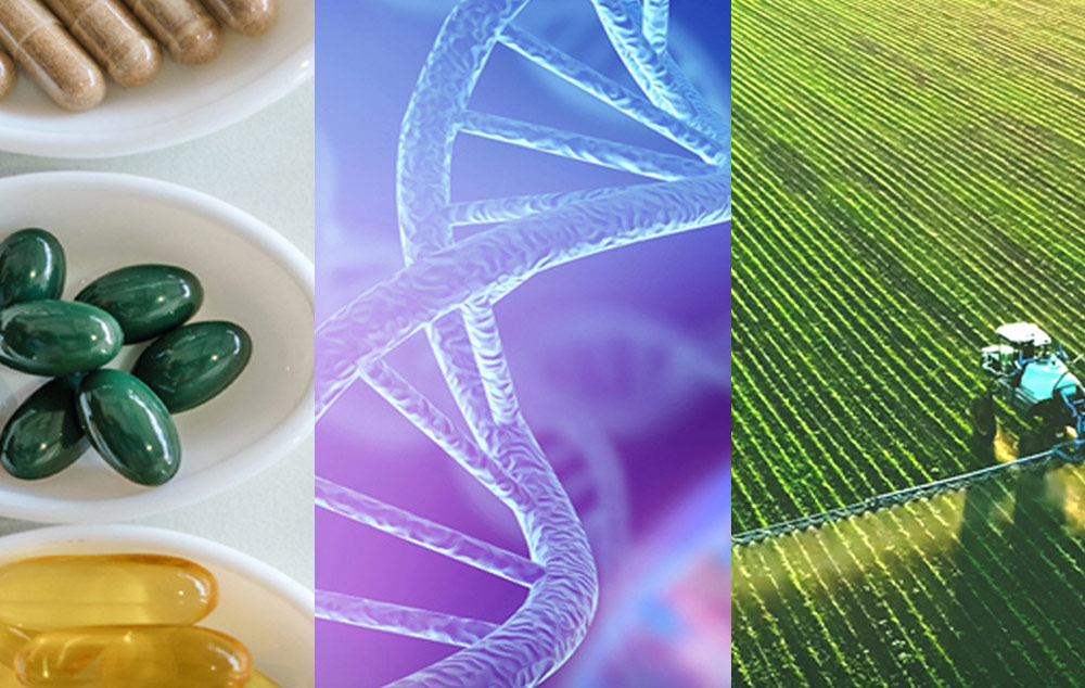 Intrepid Advises Aceto US, LLC, a Leading Provider of Specialty Chemicals, on Its Acquisitions of A&C and Cascade Chemistry featured image