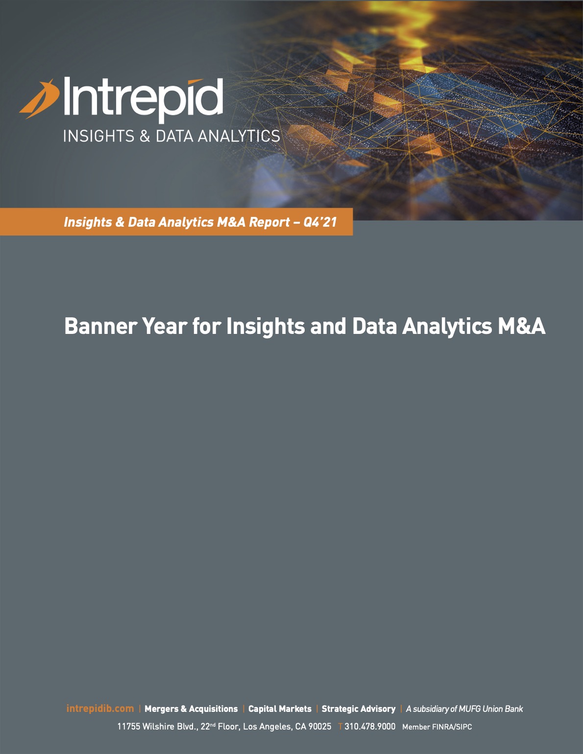 Banner Year for Insights and Data Analytics M&A PDF cover