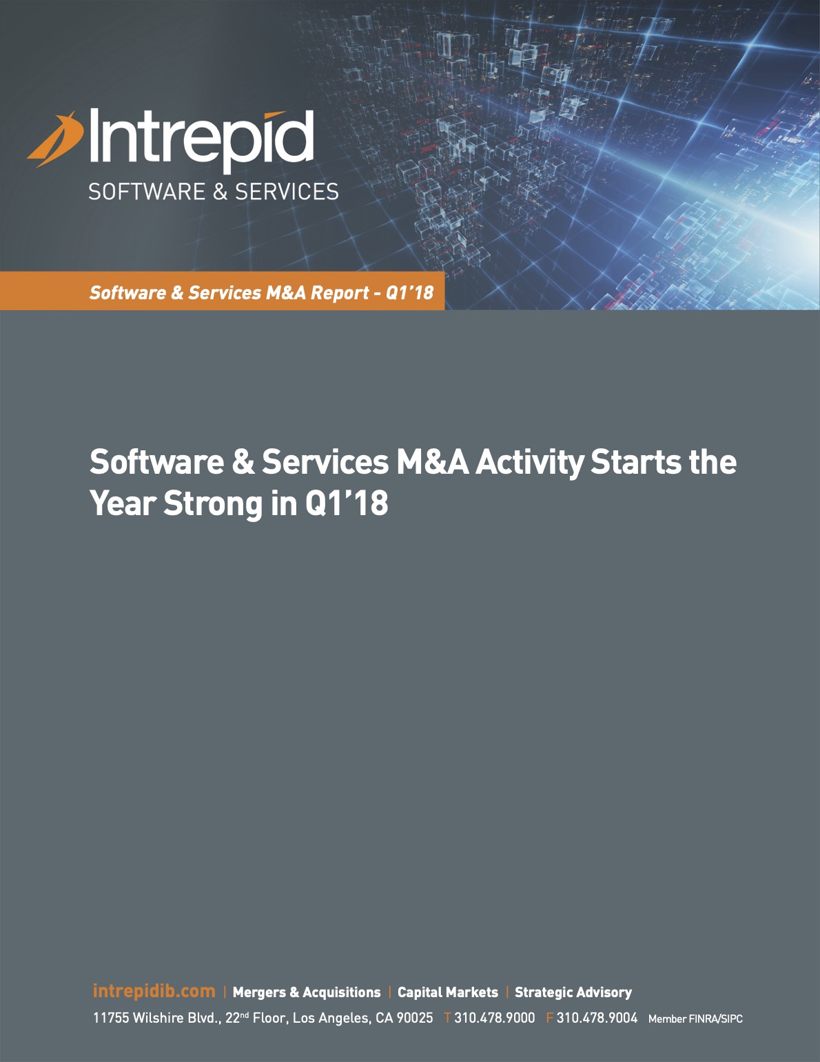 Newletter_SoftwareServices_M&AReport_Q118 PDF cover