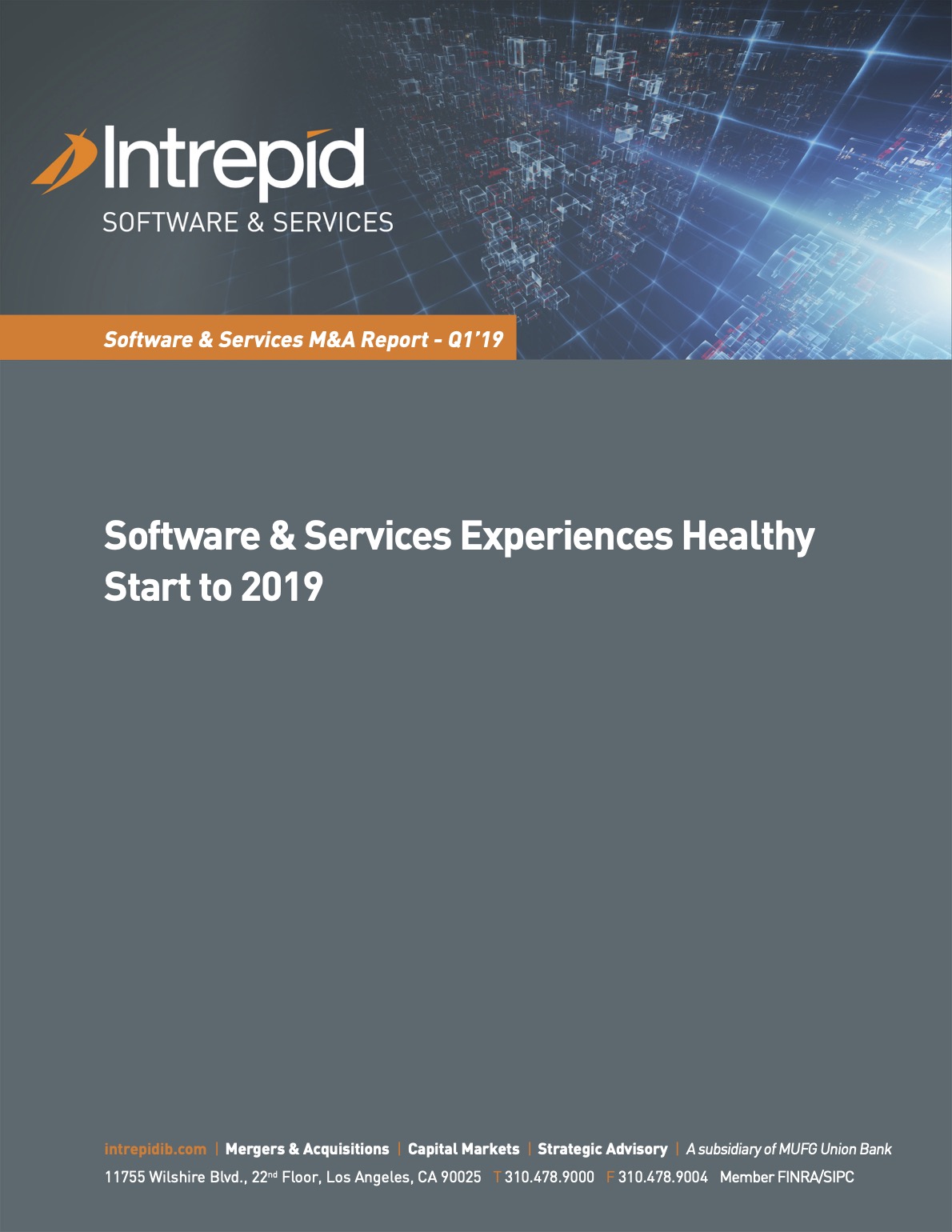 Newletter_SoftwareServices_M&AReport_Q119 PDF cover