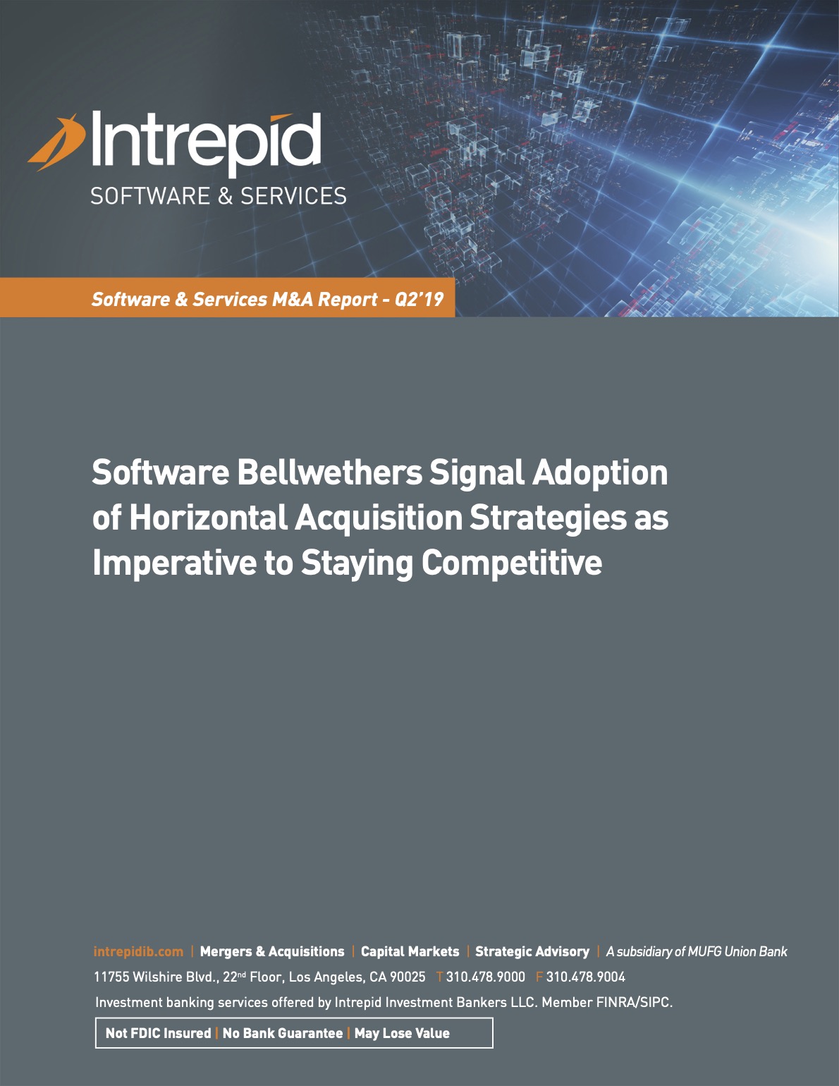 Newsletter SoftwareServices M&AReport Q219 Nonotmay PDF cover