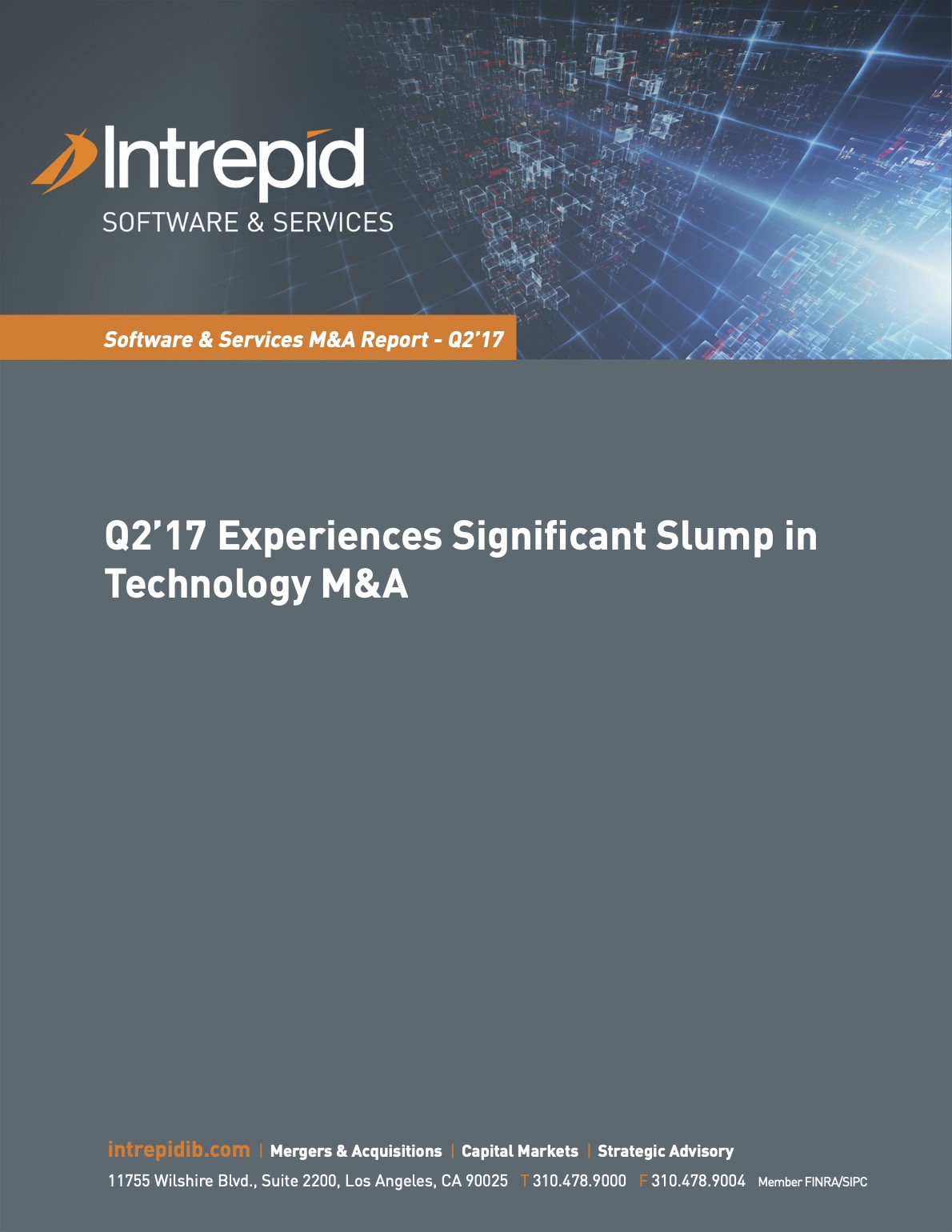 Newsletter_SoftwareServices_M&AReport_Q217 PDF cover