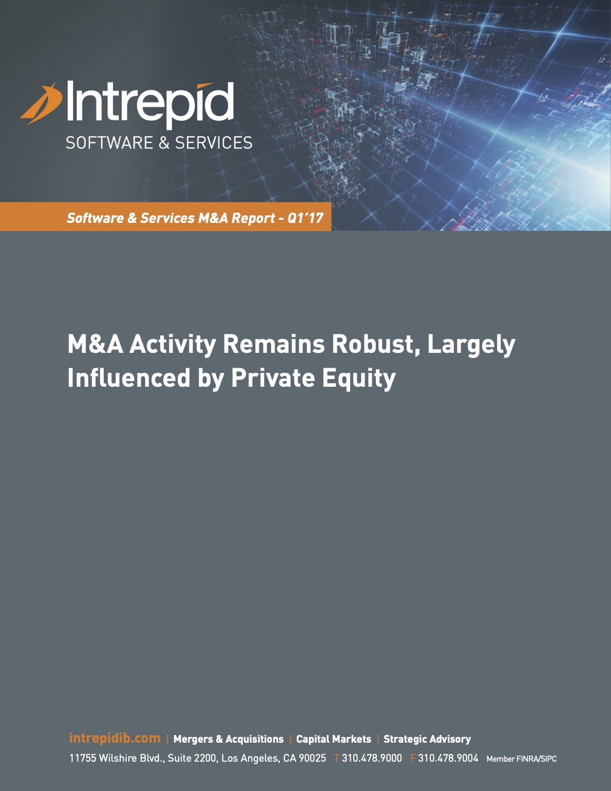 SoftwareServices_MAReport_Q117 PDF cover